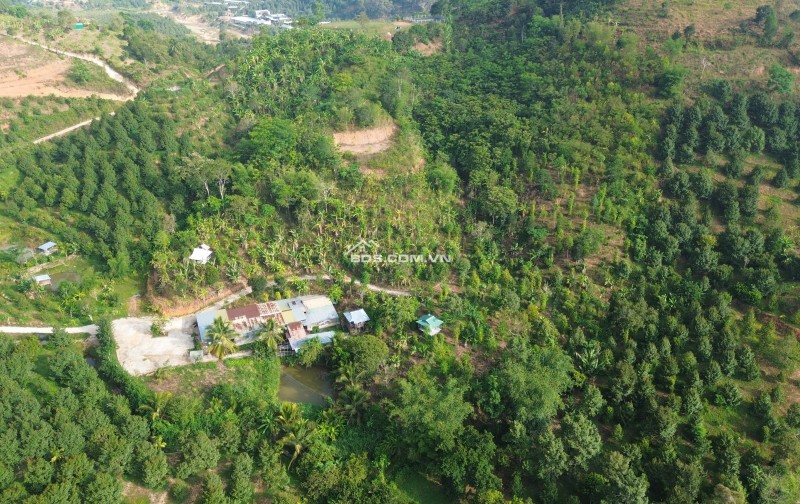 Bán đất nghỉ dưỡng view đẹp tại Khánh Hòa - Hoa hồng cho môi giới: 2%